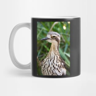 Bush stone curlew bird. Mug